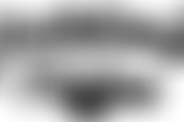 Raider Forever Report. Lewis, Transue, and Osovski