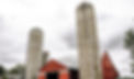 _DSC8427.jpeg