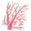 Thumbnail: Coral, Coral