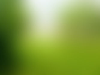 Psilocybin Retreats: A Path to Healing for Helping Professionals