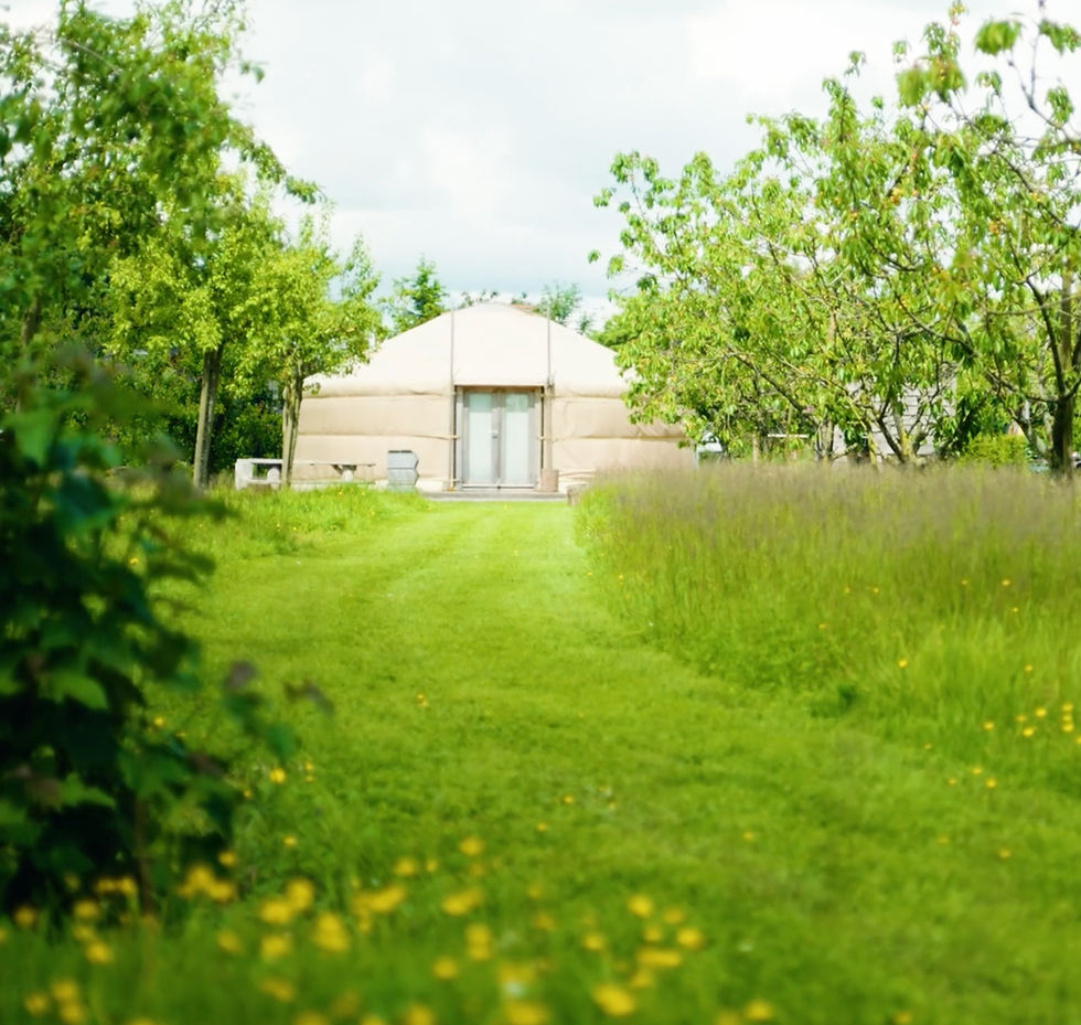 Countryside orchid yurt used in safe & legal group psilocybin ceremonies hosted by Aestra Retreats in the Netherlands.