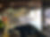 IMG_3955.jpeg