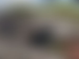 28 Sept 2023 La Macarena, Caño Cristales: Colourful Cinematic Cool