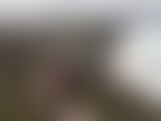 Day 18 Perranporth to Portreath Perfect weather; Poldark country; Phosphorescing seas