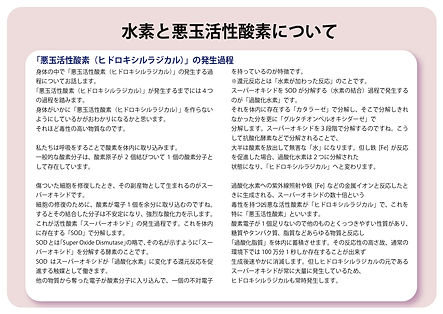 水素と活性酸素_page-0017.jpg