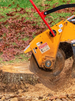 Stump Removal Specialists: Your Overview to a Cleaner Yard