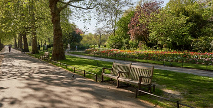 Park bench