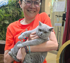 Visitors informed about proper cat documentation requirements