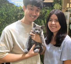 Calm and informative cattery experience for visitors