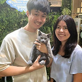 Happy customer with positive experience adopting their new kitten. Smiling with a unique Russian Blue kitten at Designer Bengal Singapore.