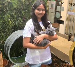 Documentation transparency demonstrated during viewing