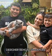 Happy customer with positive experience adopting their new kitten. Holding a plush British Longhair kitten at Designer Bengal Singapore.