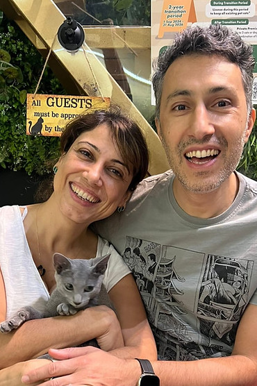 Playful Bengal kittens from Designer Bengal Singapore TikTok