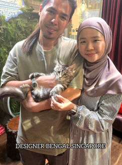 Established Singapore cattery demonstrating professional standards