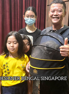 Cat for sale near Telok Blangah Drive in Singapore