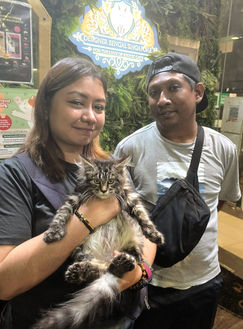 Guided session focused on responsible ownership