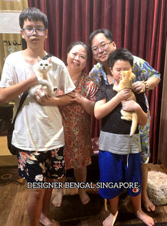 Visitors educated on importance of proper cat documentation