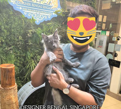 Structured viewing experience prioritising learning