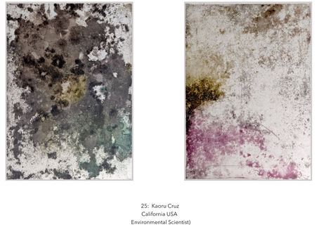 25:Raised bed garden of mojito - モヒートの花壇（California USA）