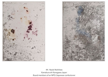 44: The copper plate inside the compost - コンポストの中の銅版(Kamakura Kanagawa Japan)