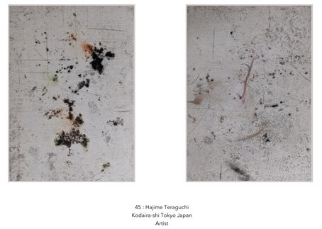 45: The dogwood tree and my only daughter - はなみずきと一人娘(Kodaira City Tokyo Japan )