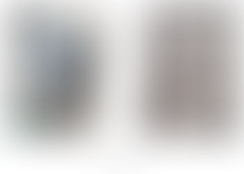 8:La belle aux cheveux cuivrés - -銅色の髪の乙女(Joigny, France )