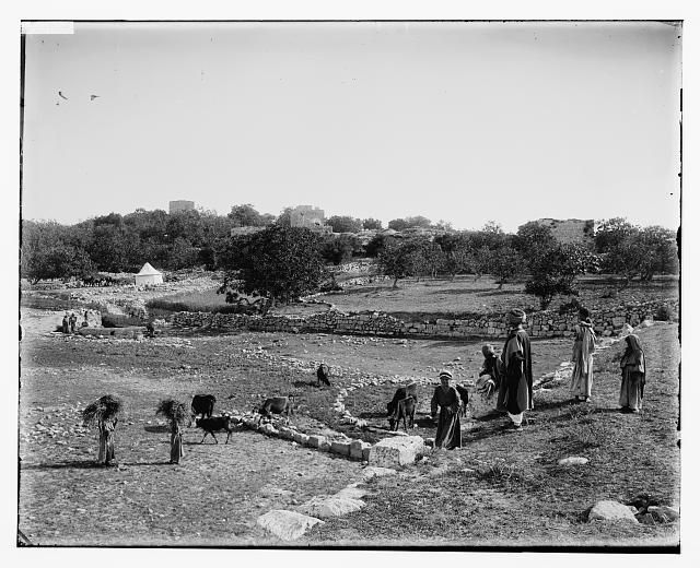 Palestinian village