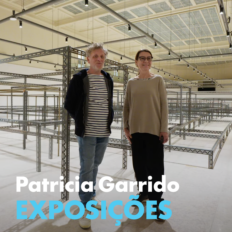 Galeria Miguel Nabinho copy-24 (11).png