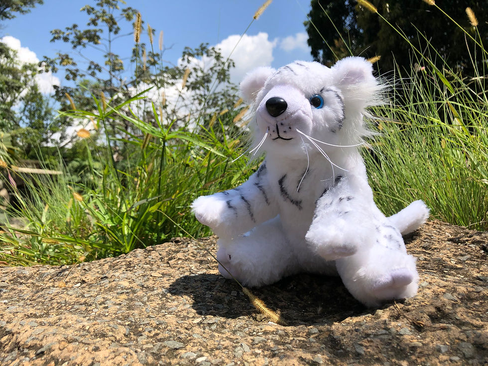 TIGRE BLANCO (22cm)