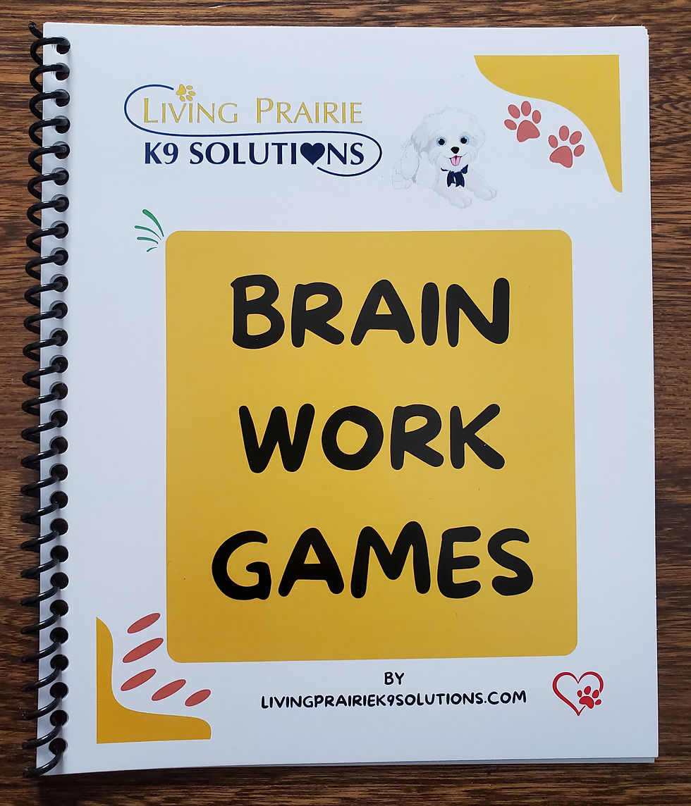 Brain Work Games: Unleash Your Dog’s Full Potential (Physical Book)