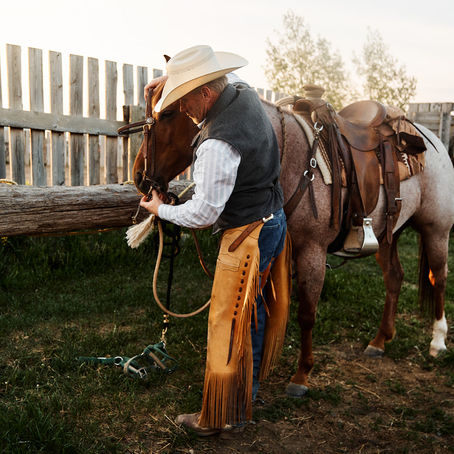 Mastering Smooth Transitions: My Favourite Approach to Balanced Riding