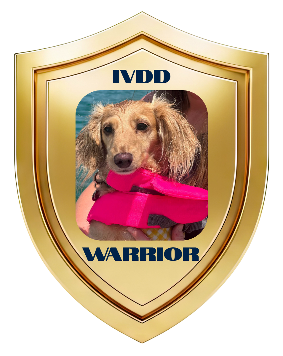 ivdd warrior-winnie.png