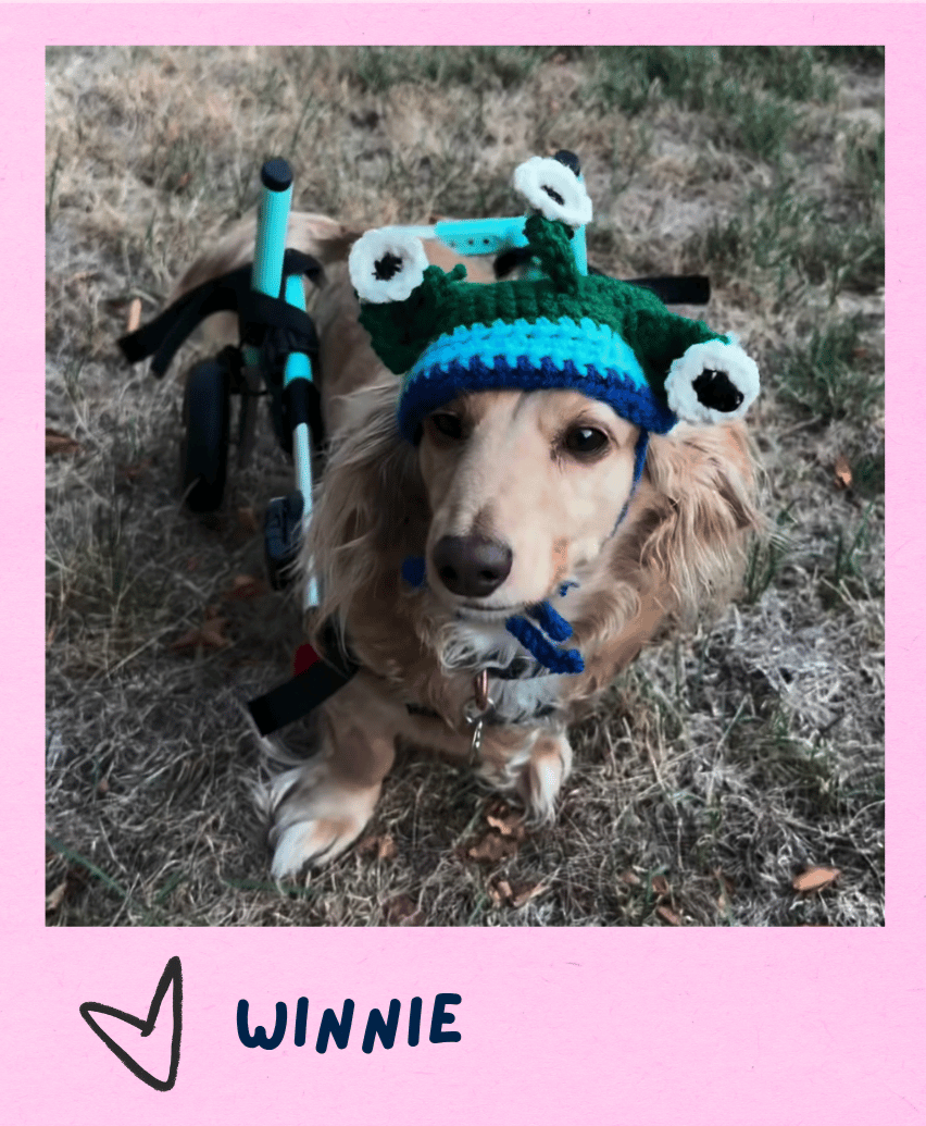winnie_edited.png