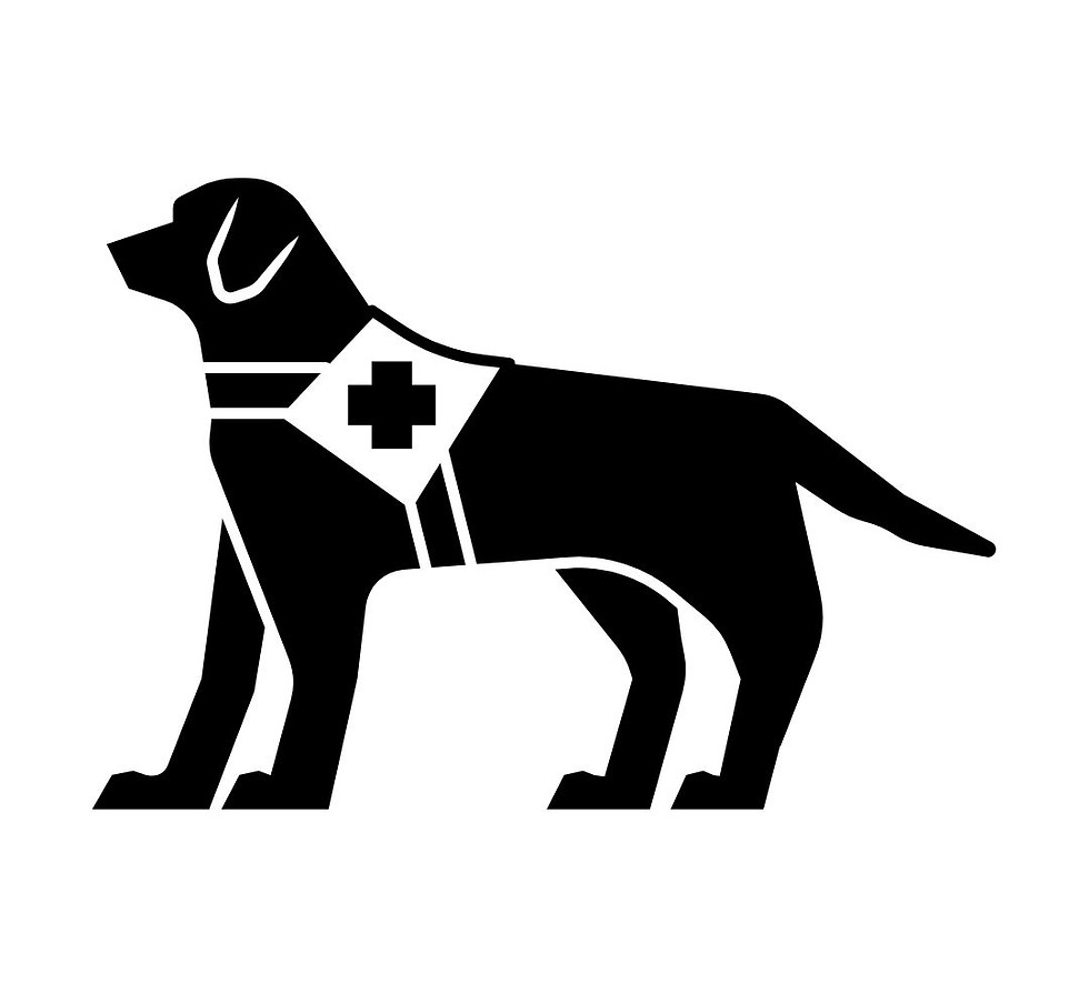 service dog.jpg