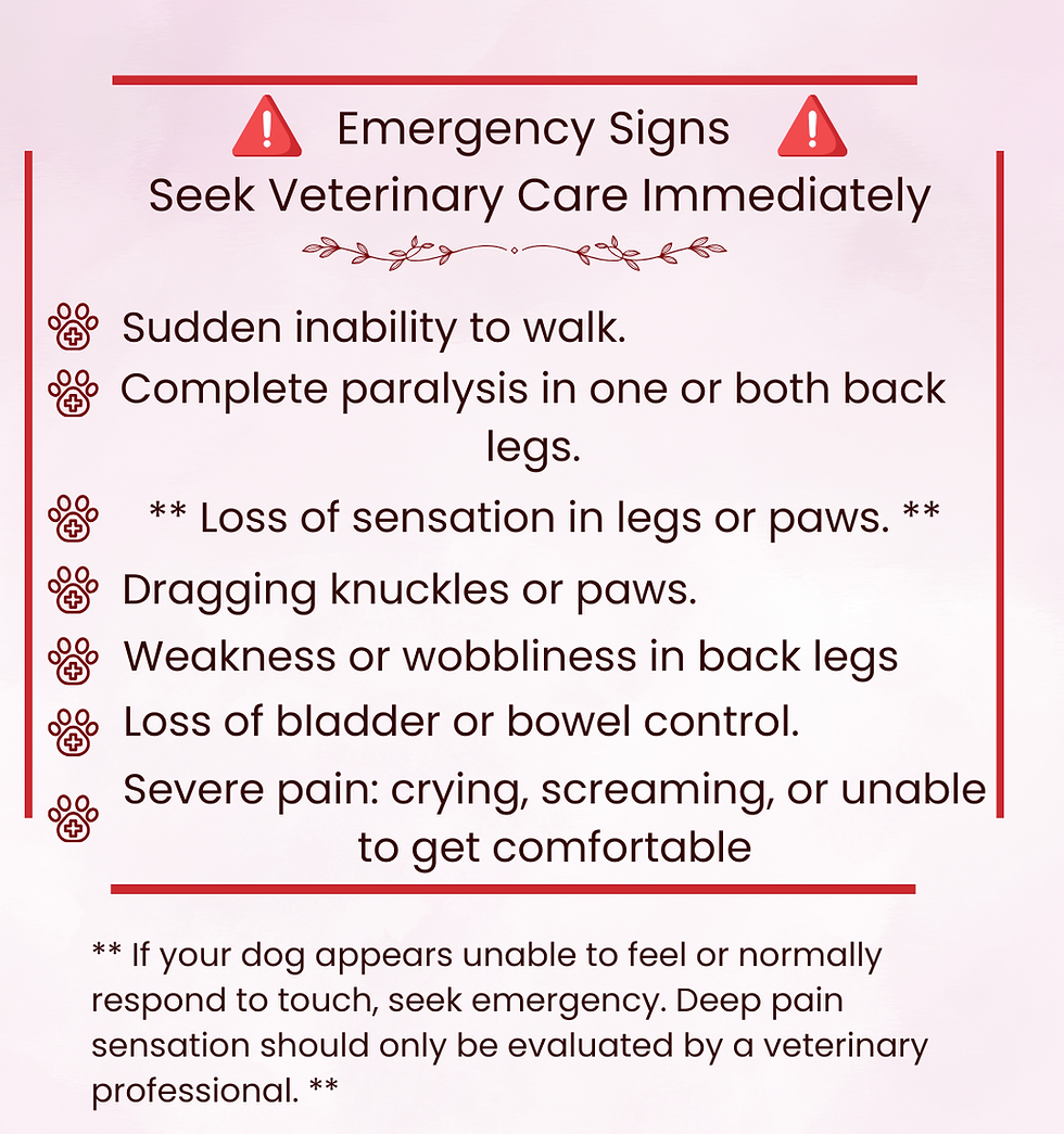 emergency.png