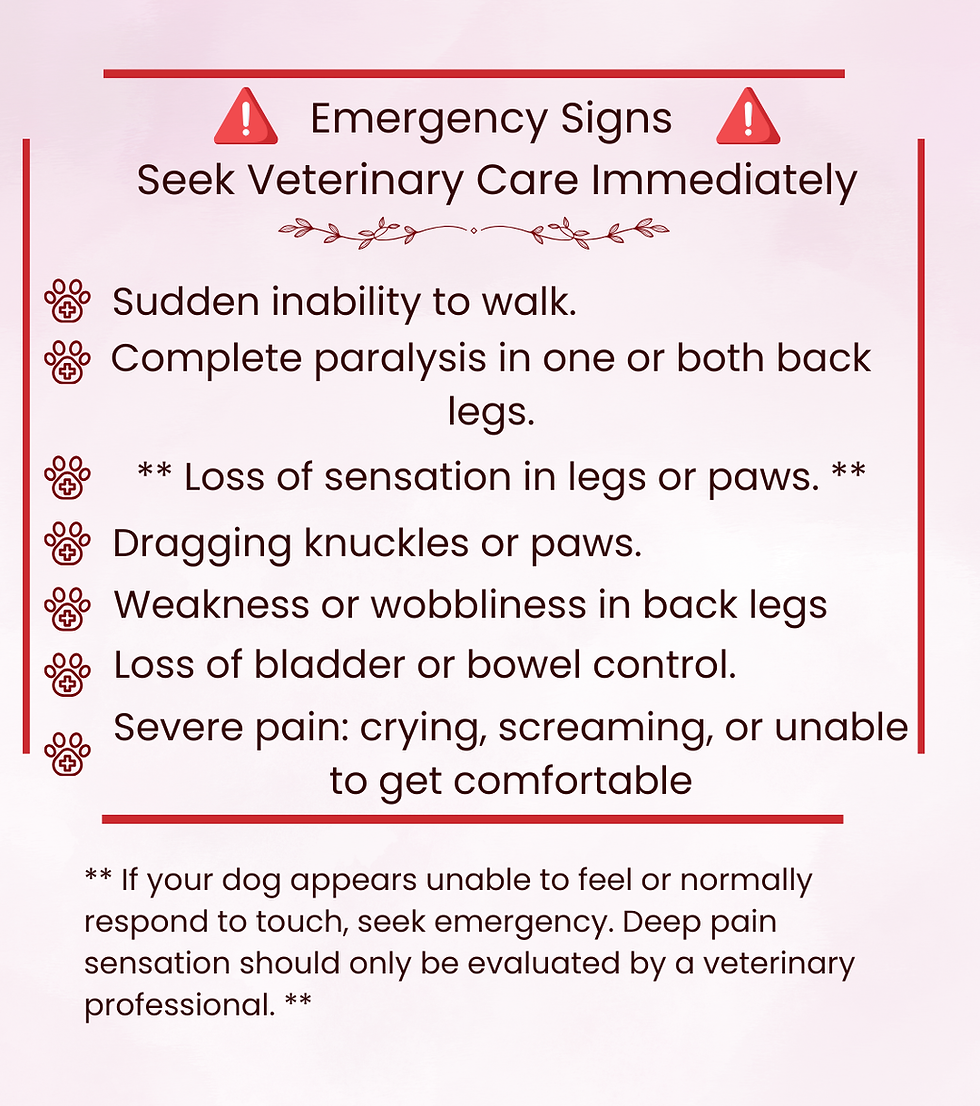 emergency.png