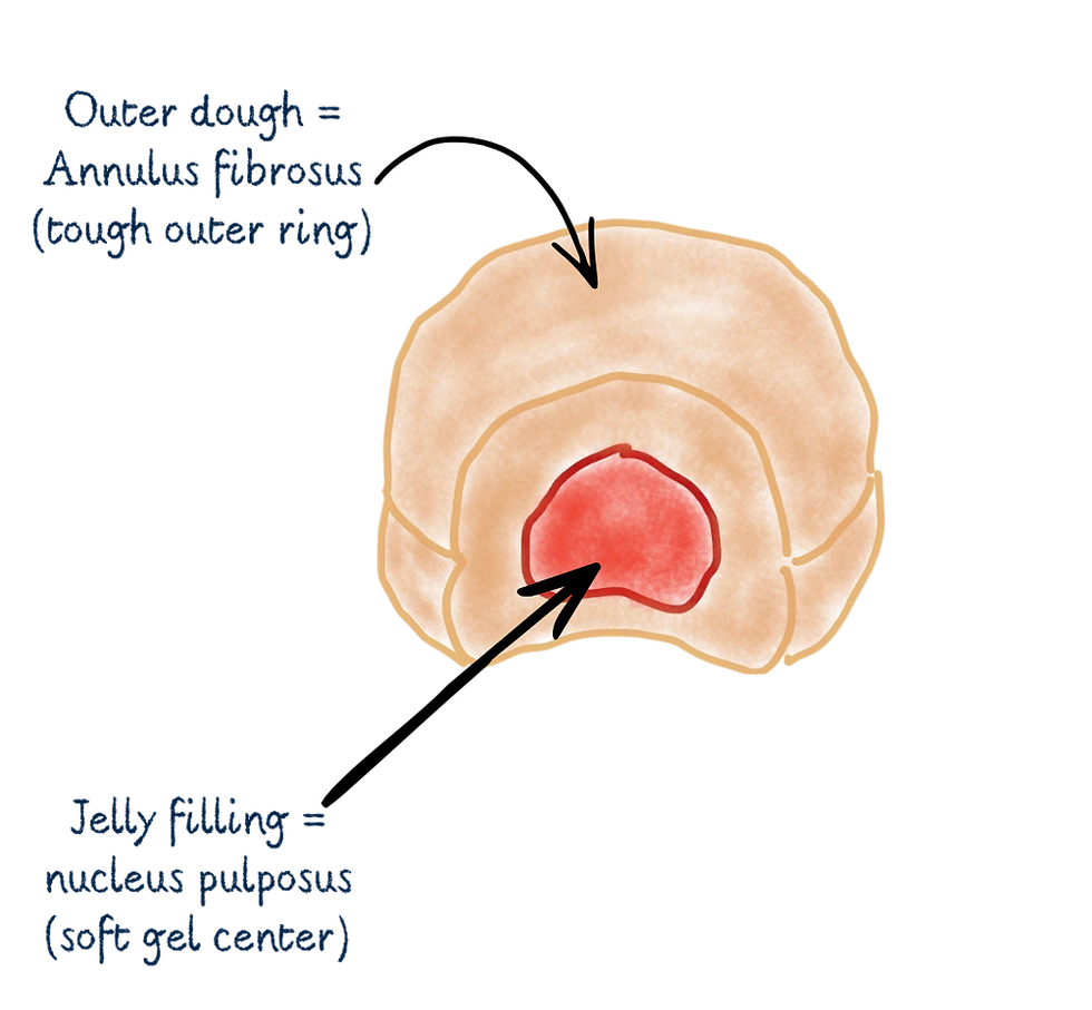 healthy donut.png