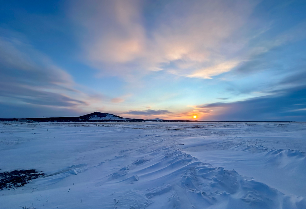 Die Steppe unweit von Korneewka, 22.01.2025