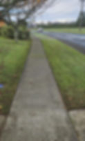Messenger_creation_8B885538-B2E7-4C34-B9F7-0BD8017104BD.jpeg