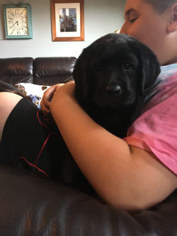 Puppy snuggles
