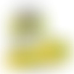 ¿Qué es la Garcinia Cambogia y cómo funciona?
