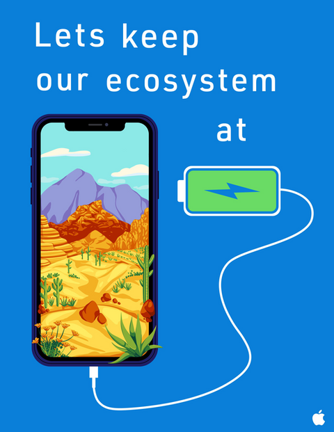 Ad Campaign Project