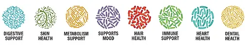Foods For Gut | Shop High Potency Probiotics & Individual Strains