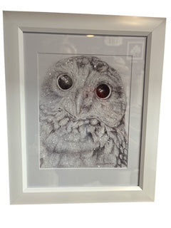 Glam Burrowing Owl 8 x 10