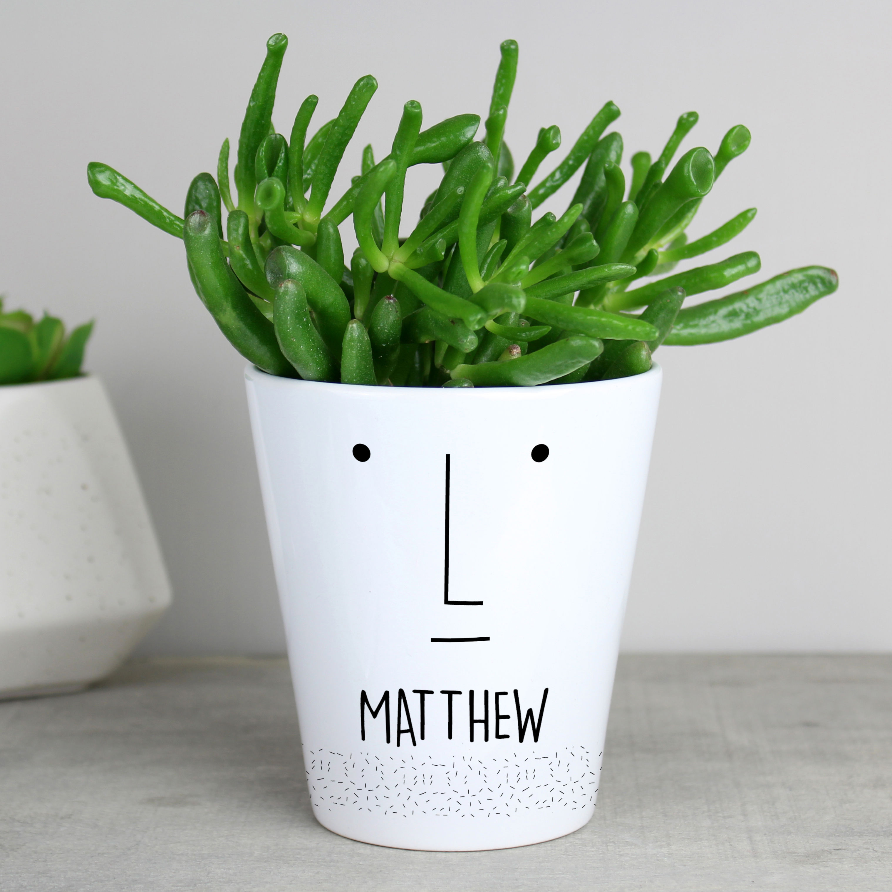 Personalised 'Mr Face' Plant Pot.