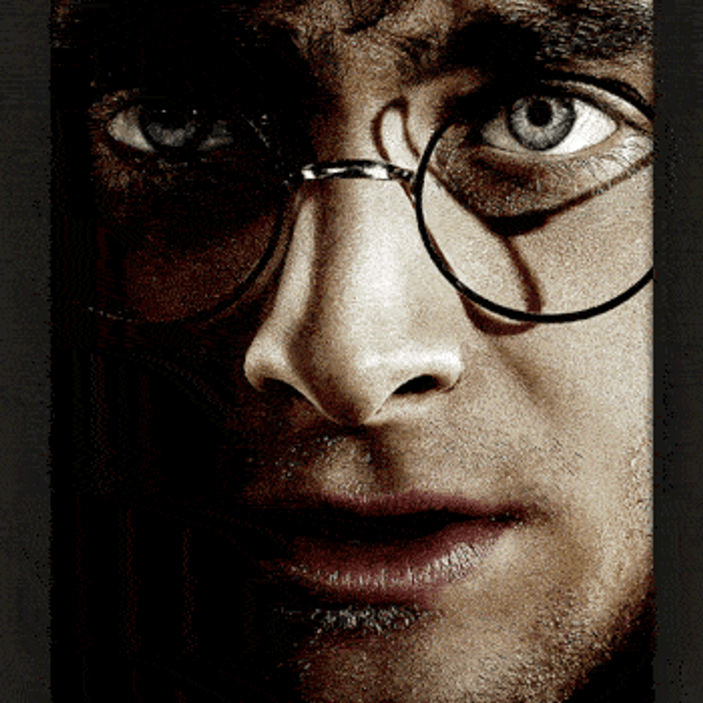 Harry Potter Framed 3D Picture.