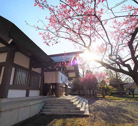 岩内神社