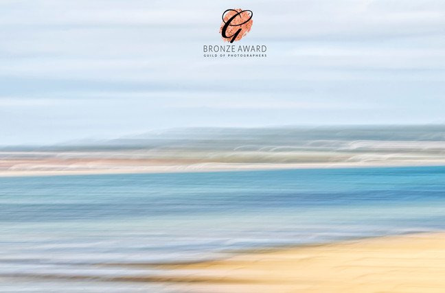 brownsea icm seascape sept18 BRONZE.jpg
