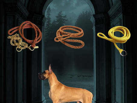 Greatdane show leashes