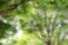 A8462638-FEC9-48DD-A54A-C566AF78FA85_edited.jpg